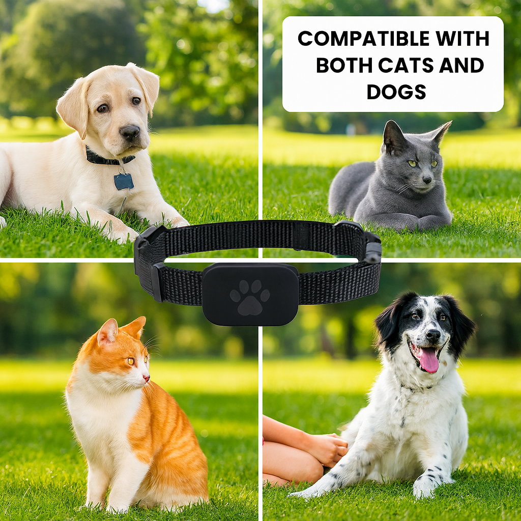Smart GPS Pet Tracker Collar – Adjustable, Waterproof & iOS Compatible
