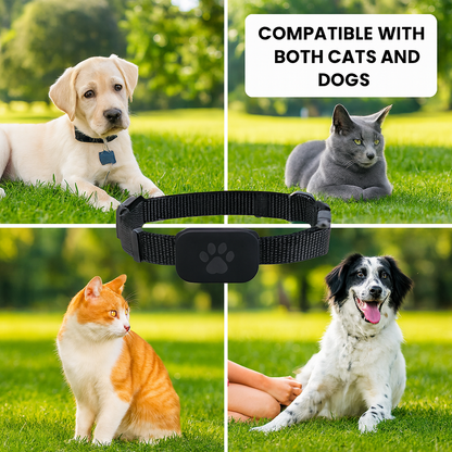 Smart GPS Pet Tracker Collar – Adjustable, Waterproof & iOS Compatible