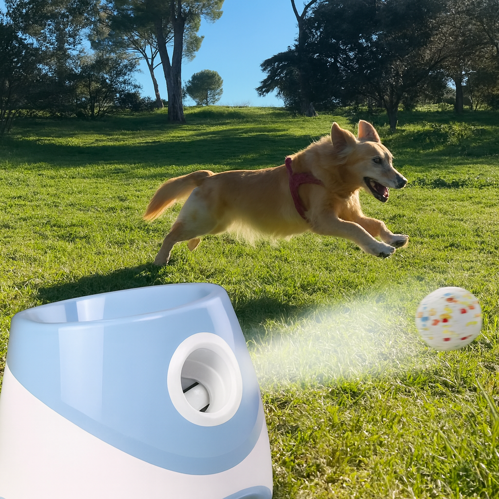 Automatic Dog Ball Launcher – Rechargeable Fetch Toy
