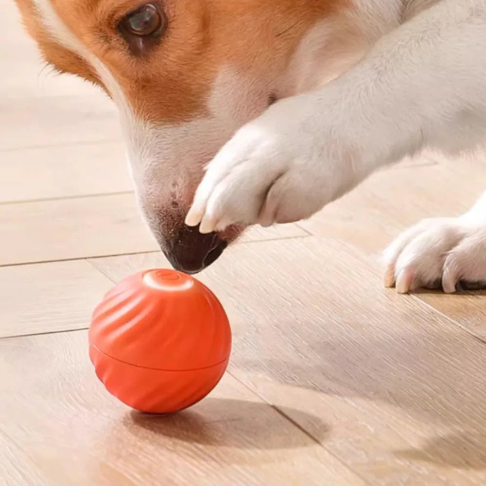 Smart Moving Dog Toy – USB Rechargeable Interactive Ball