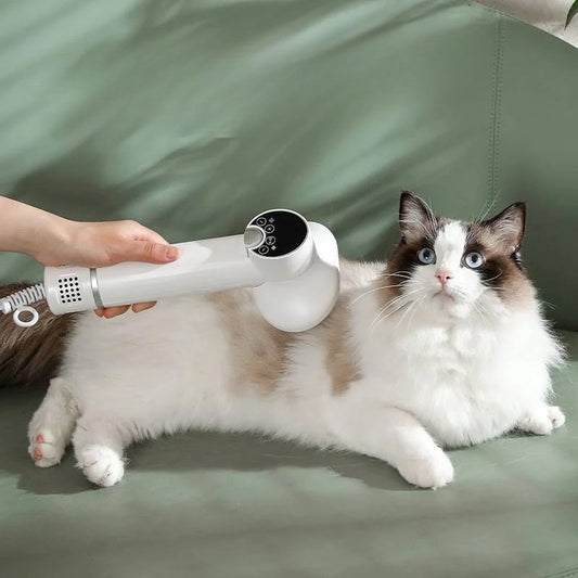 Pet Hair Dryer & Comb – 2-in-1 Grooming Tool for Dogs & Cats