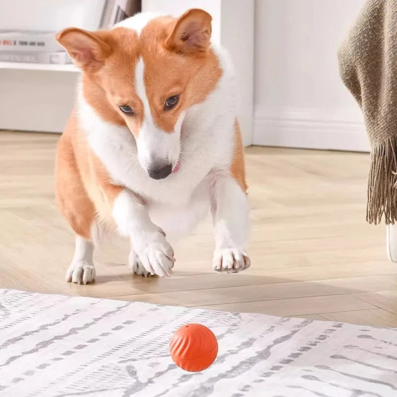 Smart Moving Dog Toy – USB Rechargeable Interactive Ball