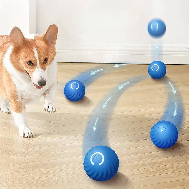 Smart Moving Dog Toy – USB Rechargeable Interactive Ball