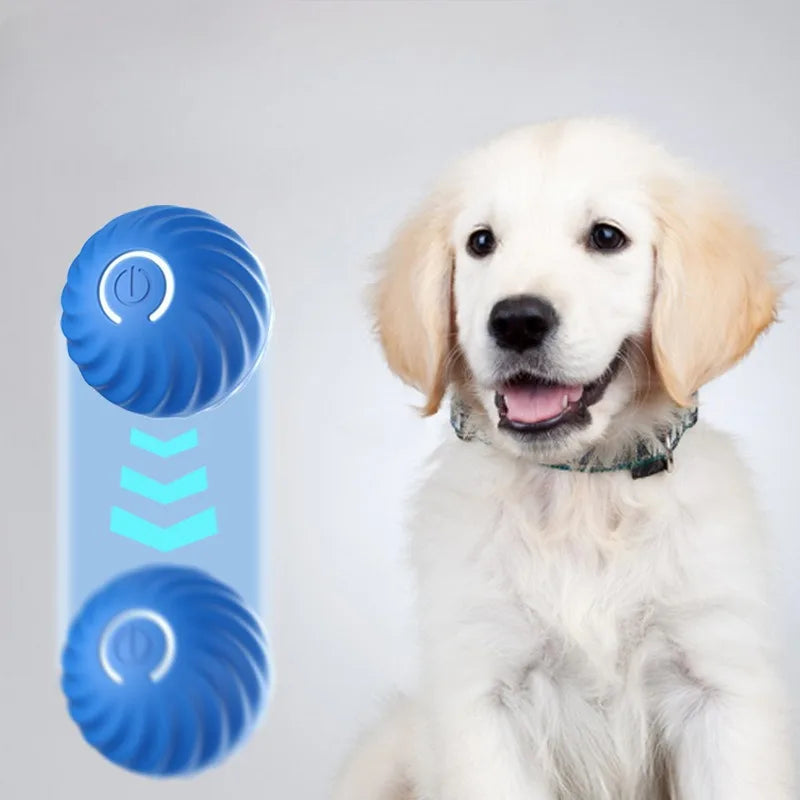 Smart Moving Dog Toy – USB Rechargeable Interactive Ball