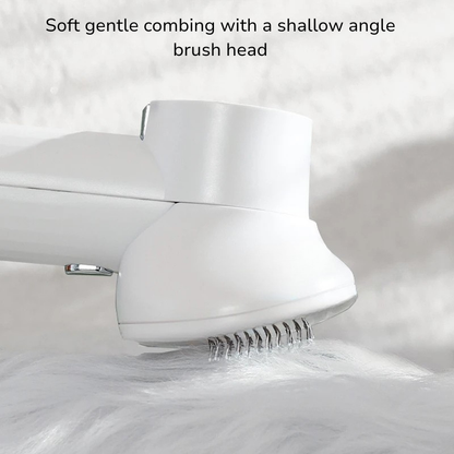 Pet Hair Dryer & Comb – 2-in-1 Grooming Tool for Dogs & Cats